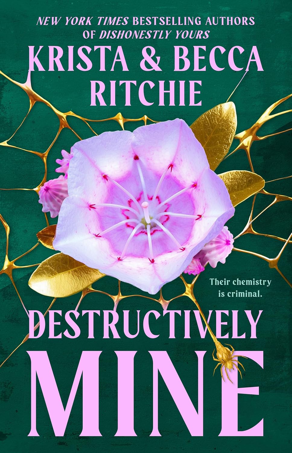 Destructively Mine by Krista & Becca Ritchie (Webs We Weave #2)
