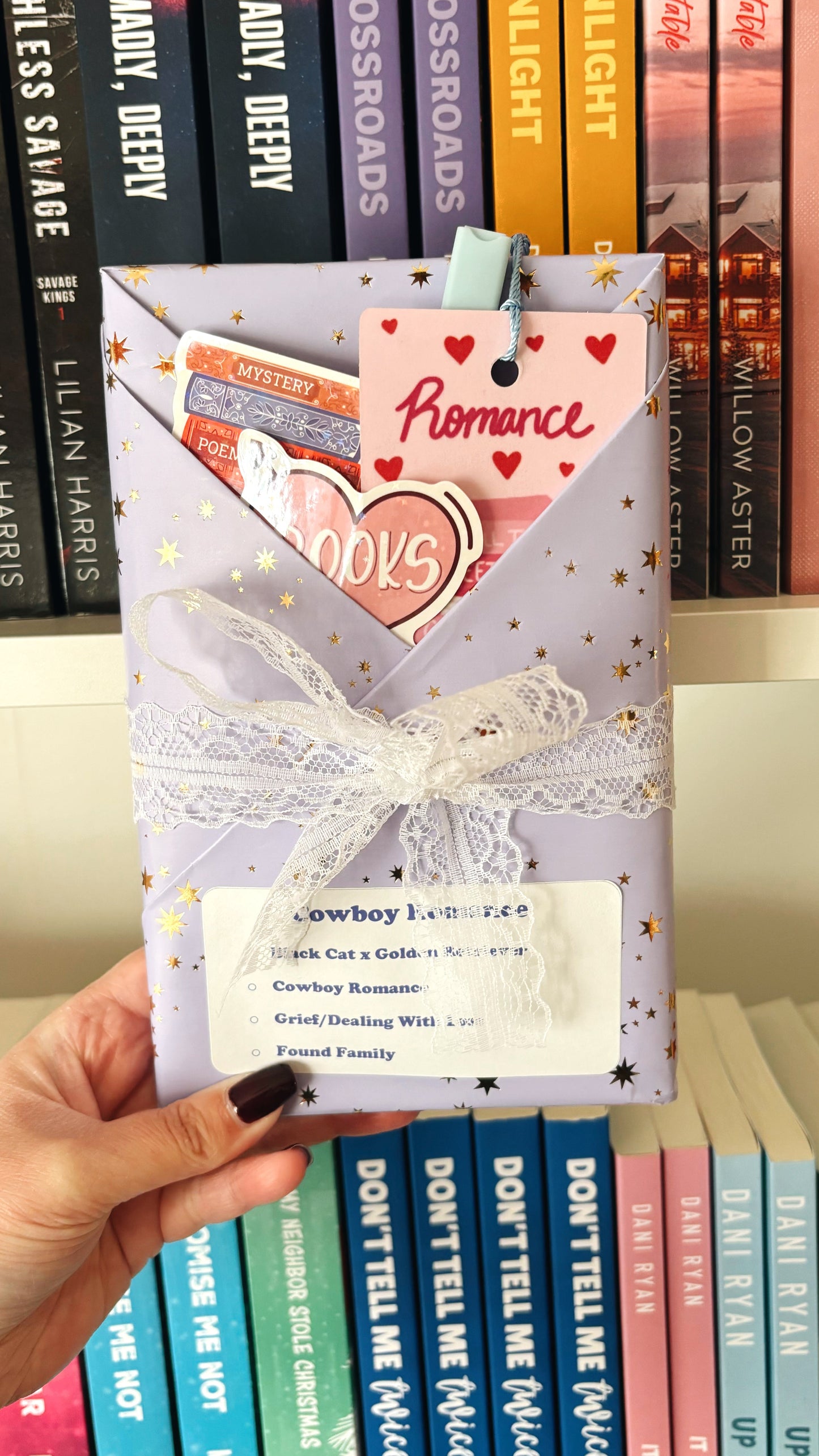Blind Date With A Book (Monthly Subscription)