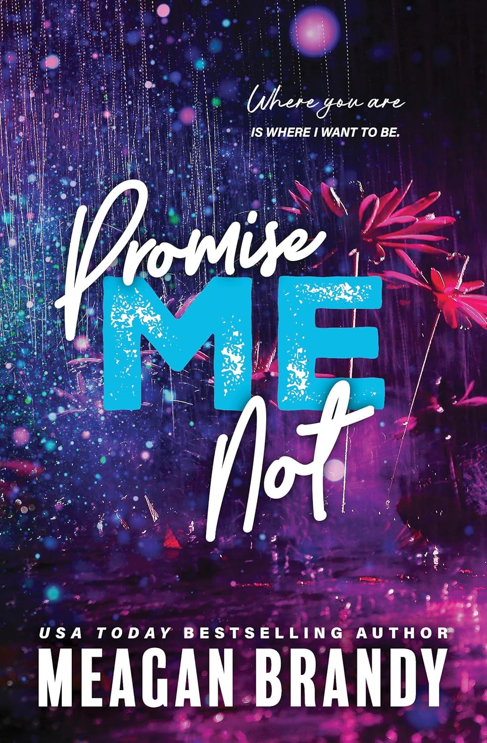 Promise Me Not by Meagan Brandy (Boys Of Avix #2)